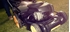 Picture of McCulloch M53-150WR Classic Lawnmower