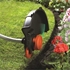 Picture of Black & Decker GL8033-QS Electric Trimmer