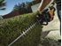 Picture of McCulloch HT 5622 Hedge Trimmer