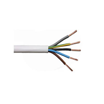 Picture of CABLE 5X2.5 OMY (BVV-LL / H05VV-F) (100)