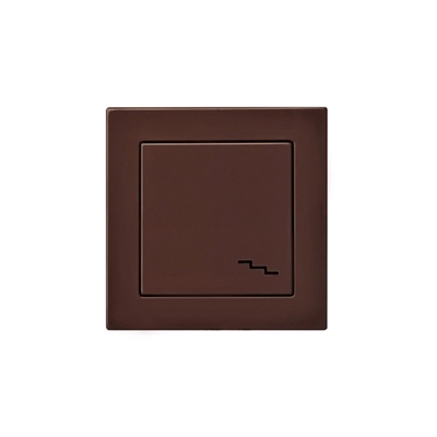 Picture of SWITCH EPSILON INP6-10-001-01 BROWN