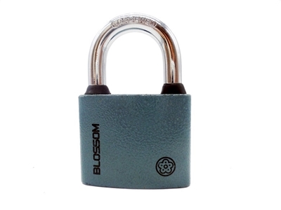 Picture of LOCK LOCK BC2950 50MM GRAY 6/36 (BLOSSOM)