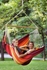 Picture of Amazon Hanging Chair Brasil Gigante Lava