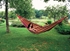 Picture of Amazon Hammock Paradiso Tropical