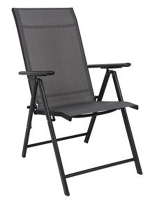 Picture of Verners Chair WR1652 Gray