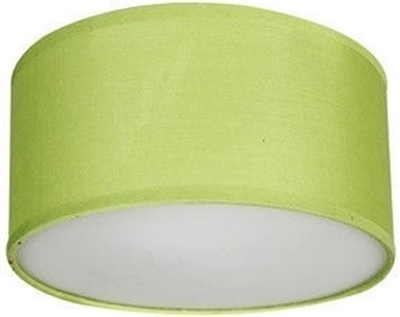 Picture of Ranex Dream Ceiling Lamp 40W E14 Green