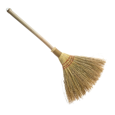 Picture of Broom 260044