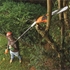 Picture of Black & Decker PS7525-QS Electric Pole Saw