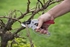 Picture of Kreator Gardening Shears KRTGR1004