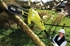 Picture of Ryobi RPP755E Electric Pole Saw