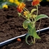 Picture of Gardena 1340 Micro-Drip-System Endline Drip Head