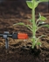 Picture of Gardena Micro-Drip-System Adjustable Endline Drip Head