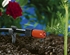 Picture of Gardena Micro-Drip-System Adjustable Endline Drip Head