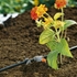 Picture of Gardena Micro-Drip-System Inline Drip Head