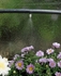 Picture of Gardena Micro-Drip-System Micro Mist Nozzle