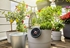 Picture of Gardena Solar-powered Irrigation AquaBloom Set