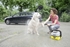 Picture of Karcher OC 3 Pet Box Mobile Outdoor Cleaner