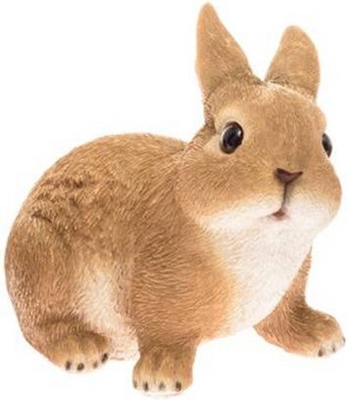 Picture of Rabbit