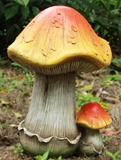 Show details for Decoration fungus NF16007