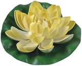 Show details for Greenmill Water Lily 19 cm Yellow