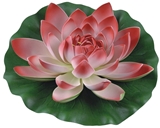 Show details for Greenmill Water Lily 28cm Red