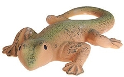 Picture of Verners HG4042 Lizard