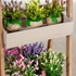 Picture of Home4you Home&Garden Flower Shelf 135cm Wood