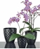 Picture of Ceramic flower pot Scheurich Orchid, 14cm, black