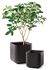 Picture of Keter Cube Planter L Brown