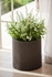 Picture of Keter Cylinder Planters 3pcs Grey