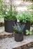 Picture of Keter Cylinder Planters 3pcs Grey