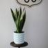 Picture of Flower pot Aztec, ⌀ 19,5 cm
