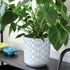 Picture of Flower pot Aztec, ⌀ 25.5 cm