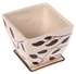 Picture of Polnix Deco 14 x 13cm Square Flowerpot with Decor