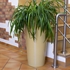 Picture of Prosperplast tube 40cm beige