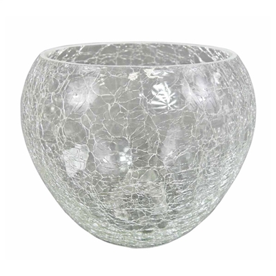 Picture of FLOWER POT CIRCLE FIONA TRANSPARENT