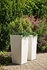 Picture of Flowerpot Finezja Dluto, 30x30x57cm, white