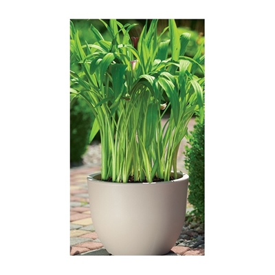 Picture of Flower pot Muna round 2731 051 D35 H26