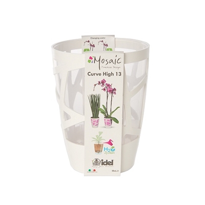 Picture of Flower pot orhid. d13 mosch0013-609