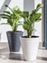 Picture of Flower pot Sahara 2721 014 D35 H40