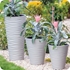 Picture of Flower pot Sahara 2721 055 D35 H40