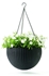 Picture of Keter Hanging Sphere Planter Grey