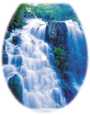 Picture of Karo-Plast Toilet Seat UNI Waterfall