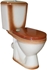 Picture of Rosa Lira WC Brown 350x600mm