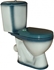 Picture of Rosa Lira WC Green 350x600mm