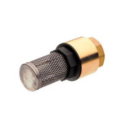 Picture of CHECK VALVE WITH FILTER 4117025 1