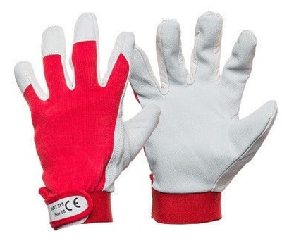 Picture of DD Smooth Pigskin Gloves With Clip 10