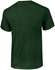 Picture of Gildan Cotton T-Shirt Green XL