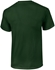 Picture of Gildan Cotton T-Shirt Green XXL