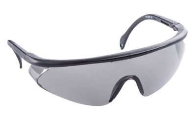 Picture of PROTECTIVE GLASSES CE, TINTED, BLACK FRAME